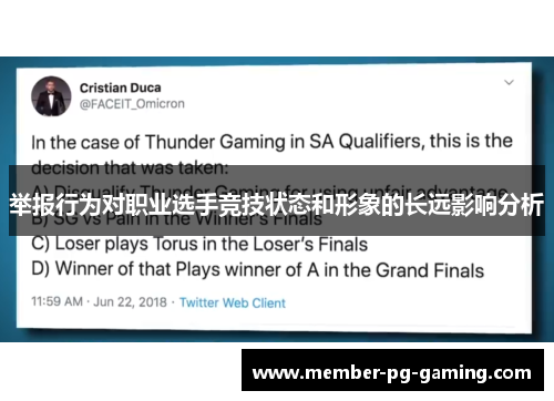 举报行为对职业选手竞技状态和形象的长远影响分析