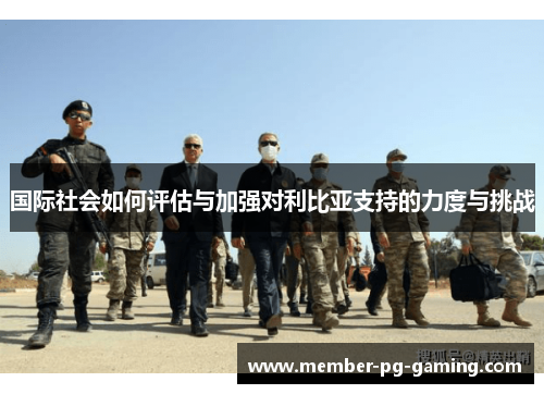 国际社会如何评估与加强对利比亚支持的力度与挑战