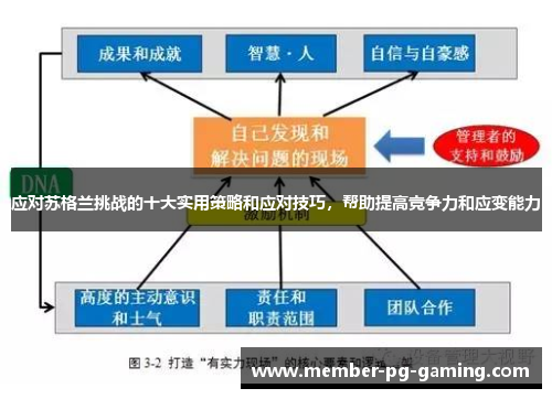 应对苏格兰挑战的十大实用策略和应对技巧，帮助提高竞争力和应变能力