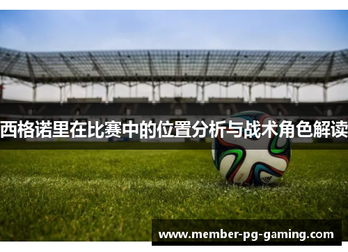 西格诺里在比赛中的位置分析与战术角色解读