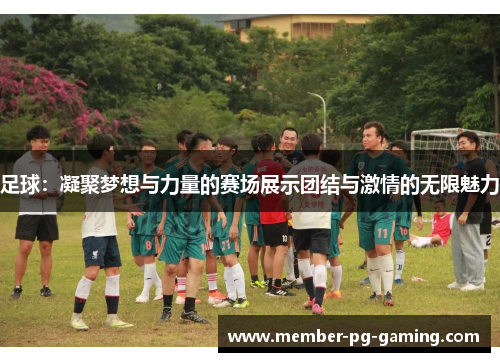 足球：凝聚梦想与力量的赛场展示团结与激情的无限魅力