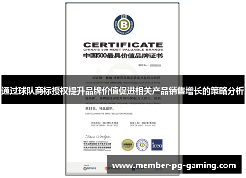 通过球队商标授权提升品牌价值促进相关产品销售增长的策略分析 通过球队商标授权提升品牌价值促进相关产品销售增长的策略分析