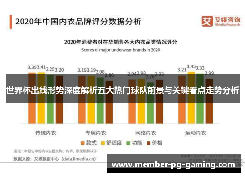 世界杯出线形势深度解析五大热门球队前景与关键看点走势分析