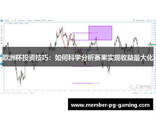欧洲杯投资技巧：如何科学分析赛果实现收益最大化