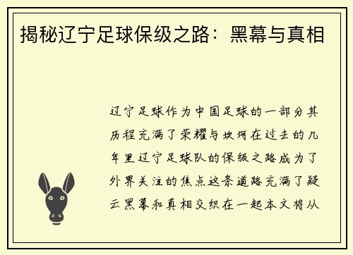 揭秘辽宁足球保级之路：黑幕与真相